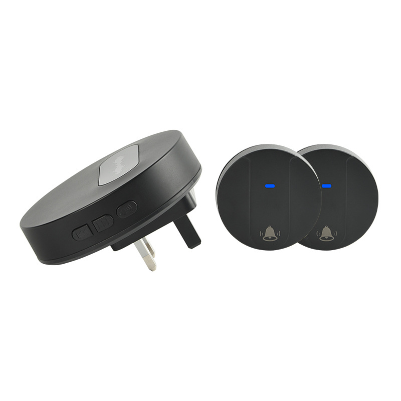 T10 영국 표준 검정색 2개 1개