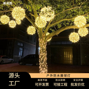 led������������ʟ��W�������M���ǈA����}�Q�ֵ������b�