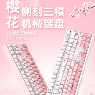 ��тȿ̷�ɫ��ģ�Cе�I�P108�I�o���{���錢��Ů���k��RGB�o���S