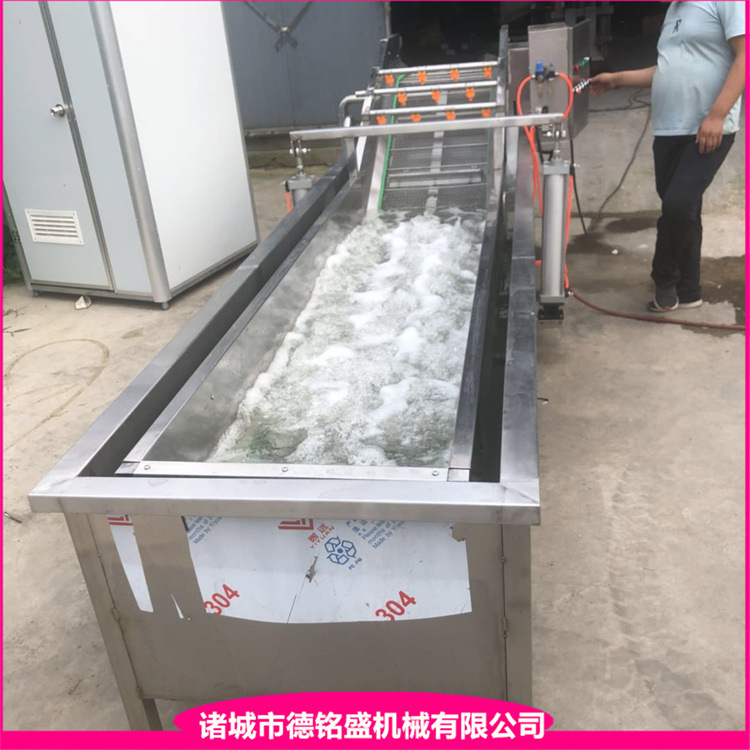 高压喷淋的大姜洗菜机 牡蛎毛辊清洗机 桃子清洗风干线