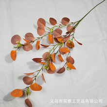 �ȼ����~��������~�����֦�ɘ������ֲ��Ҿӿ͏d�bGֲ�[��