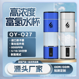 �������x����ˮ�� PEM늽�ˮ��ˮ�ƚ�ߝ��늽�ˮ����ˮ�ر�