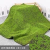 Coffee base moss