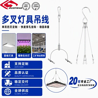 东莞灯具吊绳厂家面板灯线条灯安全绳LED升降钢丝绳灯饰配件定制