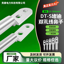 供应DTS铜接线端子DTS双孔T2铜管压制镀锡铜鼻子线耳DTS接线端子