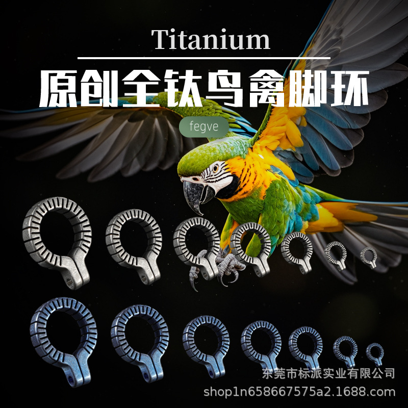 新款纯钛合金鸟脚环玄凤小太阳鹦鹉虎皮八哥杜丹防脱扣拴鸟圈