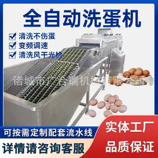 全自动洗蛋机清洗光检风干喷油一体保洁蛋清洗去泥设备蛋品清洗机