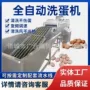 一体保洁喷油自动洗蛋机