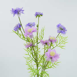 5头矢车菊单枝仿真花野菊花ins风田园清新花艺婚庆造景家居装饰花