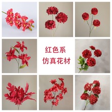 tɫc滨õٻYüҾӿ͏db廨[