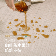 ?地毯客廳輕奢免洗可擦卧室床邊地墊房間家用防水防污沙發全