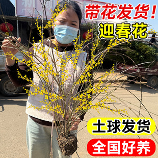 ӭ�����������Ԏ������༾�_������ֲ��󴺻����҃��̨ͥԺ�ͺ�