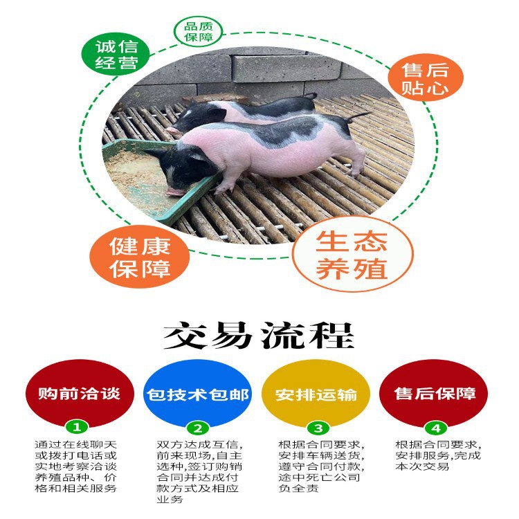 conew_巴马香猪详情页_04.jpg