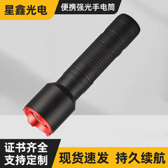 卸売ミニポケット自己防衛懐中電灯充電式防水マイクロ LED サイクリング強力な光小型懐中電灯ペンクリップ付き