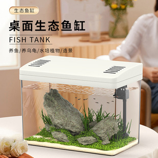 Fish Tank Living Room 2024 New Small Landscape Super White Acrylic One-piece Forming Fish Tank Turtle Feeding Tank Dual-use