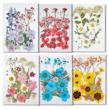 �ɻ�Ѻ���ֹ�diy���ϰ��NĘ����������~ֲ��˱��������z�֙C��