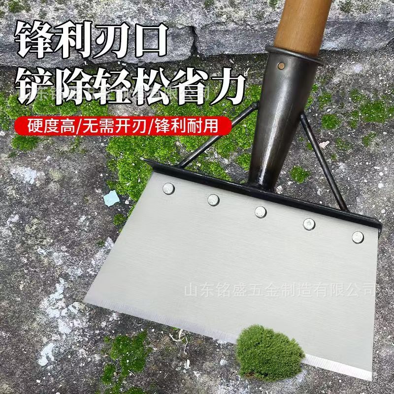 微信图片_20250623171350