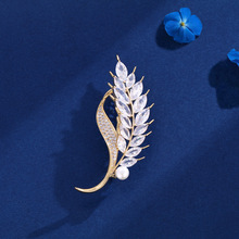 ��������������ᘸߙnŮ2025���¿�����ػ��OӋ��ins�e����