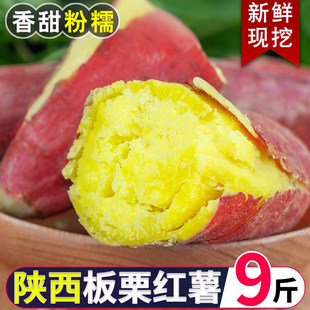 ������rɳ�����������t�����ĵع�����ɽ���r���ԷN�F�ڼtƤ�S��