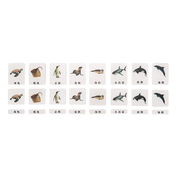 Complete set of marine animals (8 kinds of animals. Maximum card size 11.5*9)