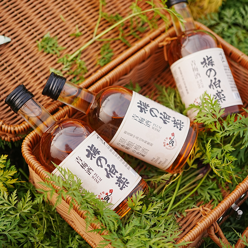 峨眉仙梅的伯乐青梅酒330ml低度微醺梅子酒晚安果酒聚会小酌伴手