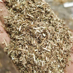 �������ۿ� �������ݷ� ιţ���������A��� �������ݿ�