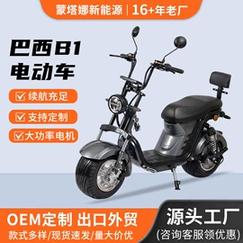 电动摩托车