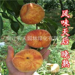 Ѫ����������޽��Ҙ����ˮ�������Զ����ϱ����Nֲ���Թ���