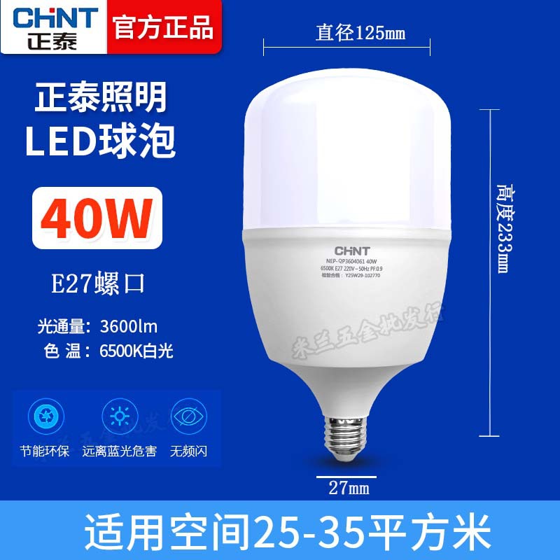 Bombilla Zhengtai 40W