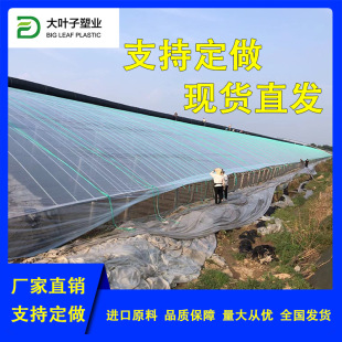 �S�ҹ����r�ô���Ĥ �߲˳����ؾ�Ʒ�p��Ĥ��Ʒ�؜�POĤ �����D��