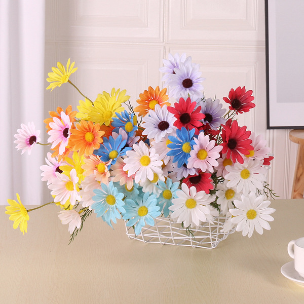 Simulation 5 Dutch chrysanthemums chamomile gyosenic daisy Posal…