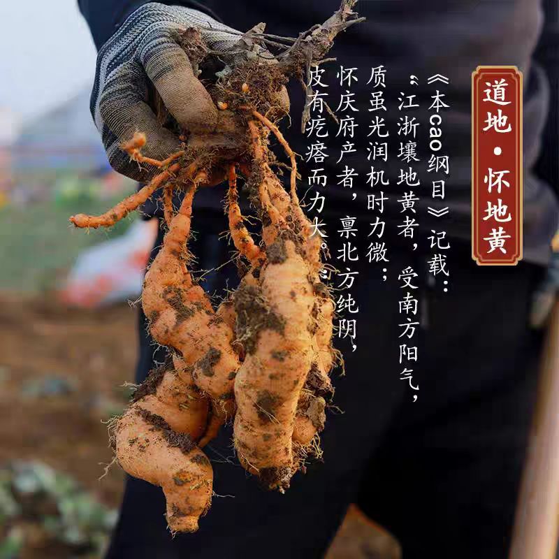 Prepared Rehmannia (Rehmannia glutinosa) — Nine-Steam-Nine-Sun Dried Shu Di Huang for Soup & Tonic overview