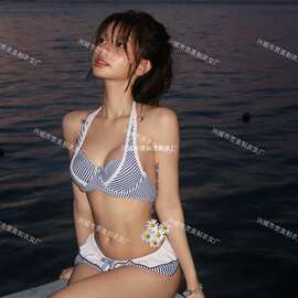 新款韩版ins纯欲性感条纹游泳衣女感小胸聚拢温泉泳装bikini