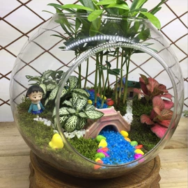 装饰花瓶;微景观;玻璃工艺品