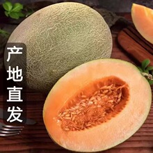 �Fժ���ܹ� ���r ɳ��������25̖�W�y�۹�һ�� ����ˮ�����]�ؼ�