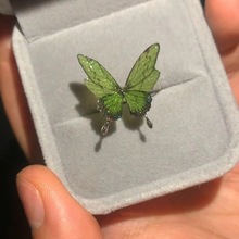 Сtͬ2024¿\GɫָؐƫWW