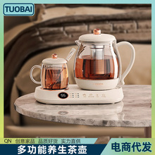 养生壶家用全自动煎药壶煮茶烧水多功能养生茶壶烧水壶煮花茶煎药