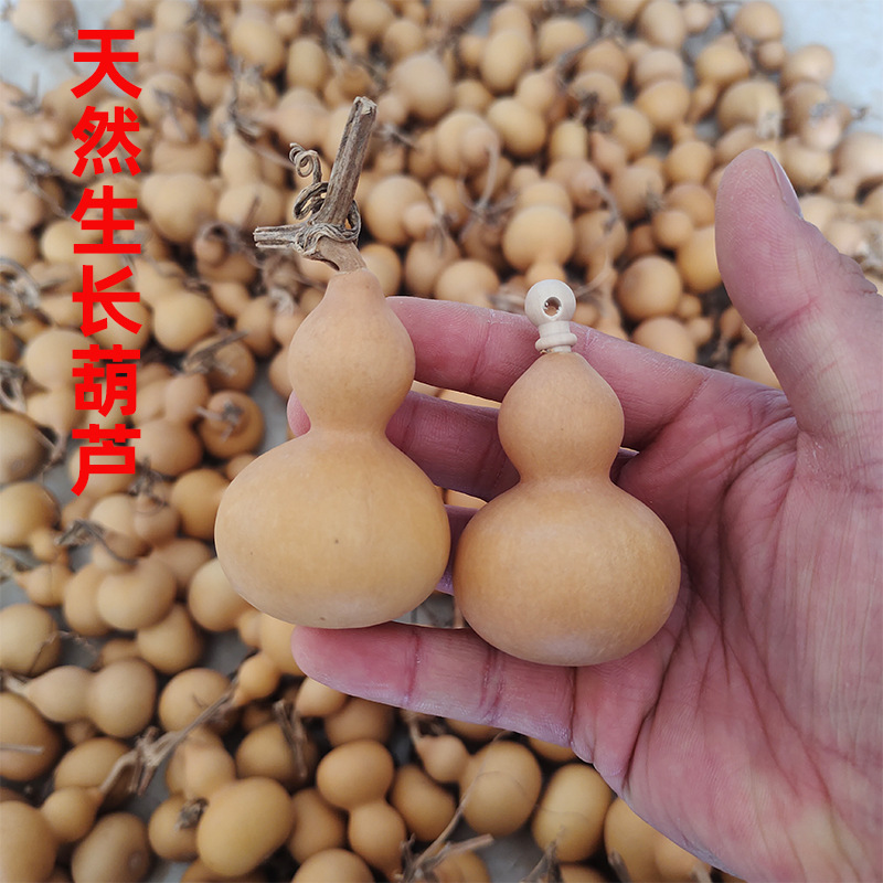 天然手把玩带龙头木塞小葫芦手把件小葫芦批发不开口手捻小美葫芦