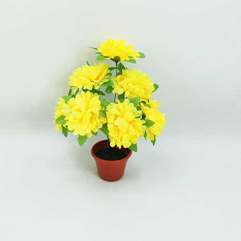 7-headed chrysanthemum with leaves (yellow) 1 branch - 1 branch + flowerpot quality choice