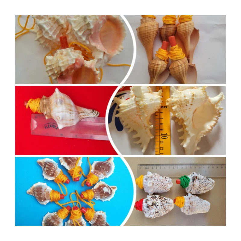Wholesale various conch whistles blowing conches