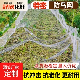 遮阳网;其他安全网;跑道草坪