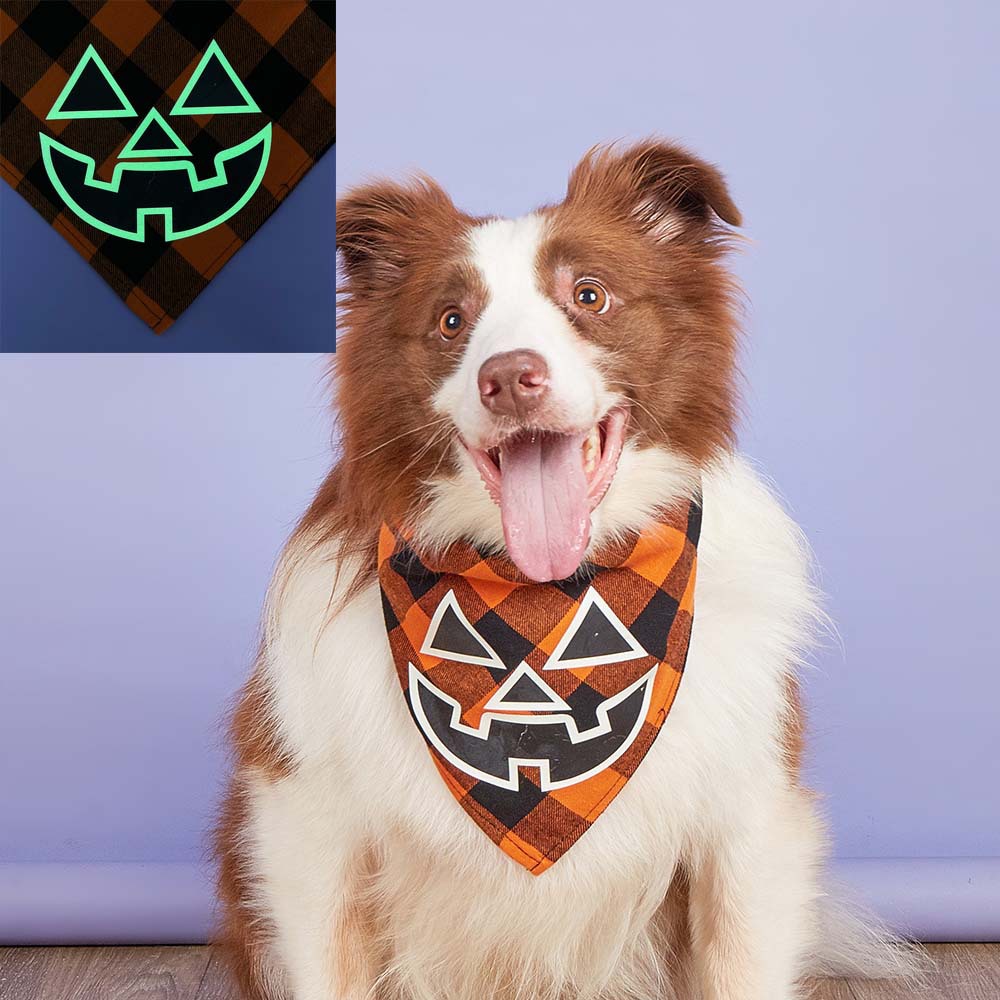 Transfronterizo a rayas de Halloween bufanda luminosa calabaza cráneo impreso triángulo toalla mascota perro saliva toalla al por mayor