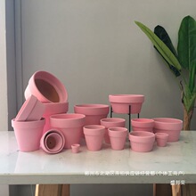 �S��ֱ�N�R�������s��ɫ����Сֲ�ﻨ����ֵ�մ���ˮ͸�����԰�