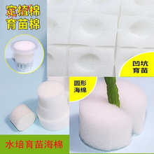 �̶��Nֲ�߲��~�˟o���������纣�d��ֲ���޶�ֲ�@���ϱ���ˮ����