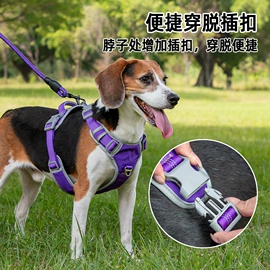 狗狗牵引;宠物项圈;猫猫牵引