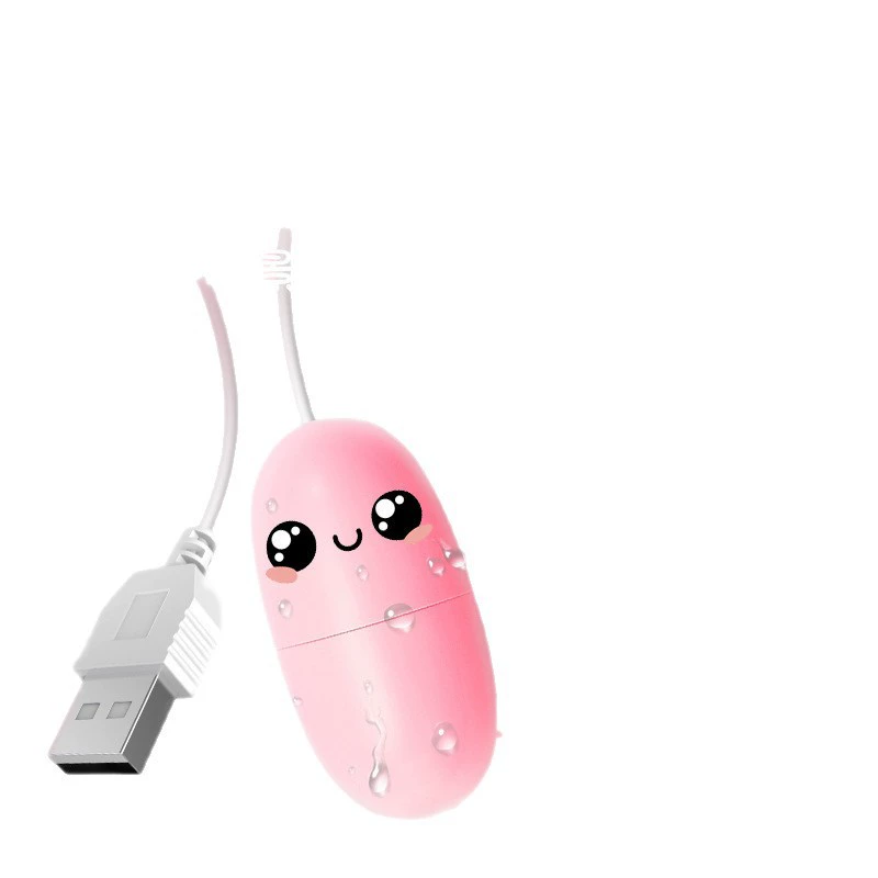 Vibrating egg Laile USB, strong vibration, direct plug-in single egg for women