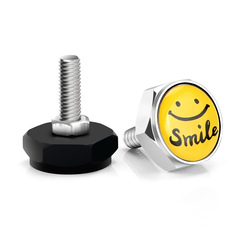 Amazon exclusively supplies license plate screws with logo, license plate sealing buckle, metal decorative plate buckle, license plate frame anti-screw