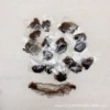 Pack, 5mm, 12 inch, 30cm