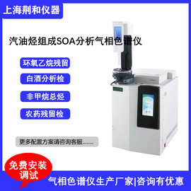 荆和 汽油烃族组成SOA分析仪多维气相色谱仪 国产实验室仪器