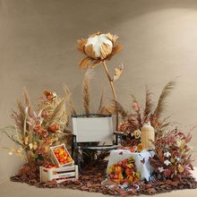 bꙻ쾰b＾JȔݸɻŮ}ֱg[